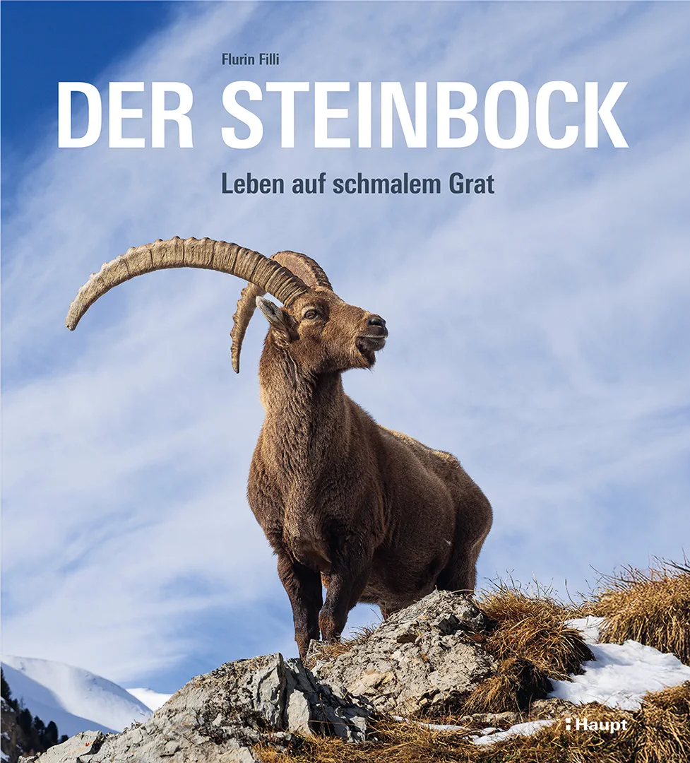 Front Cover Image Der Steinbock