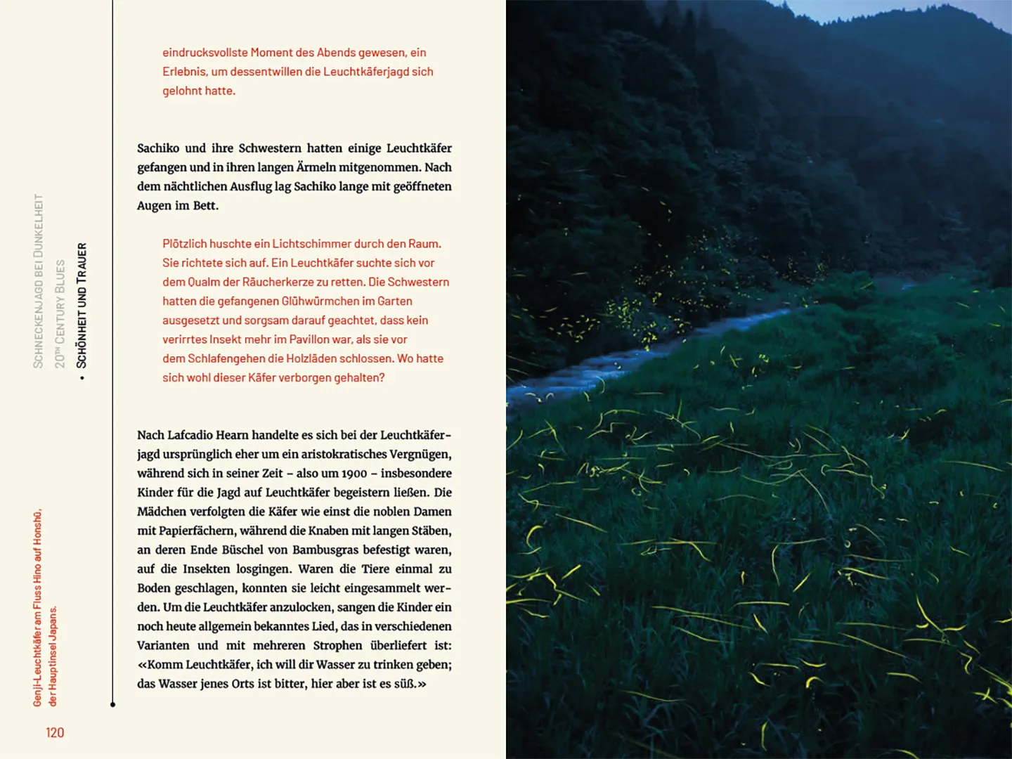 Sample Content (Image) Glühwürmchen