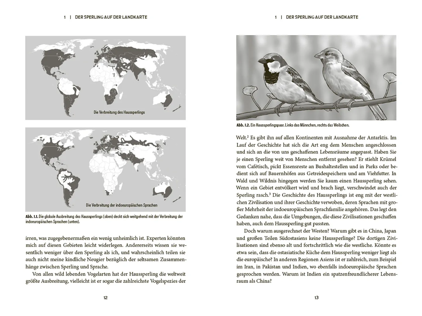 Sample Content (Image) Der Spatz