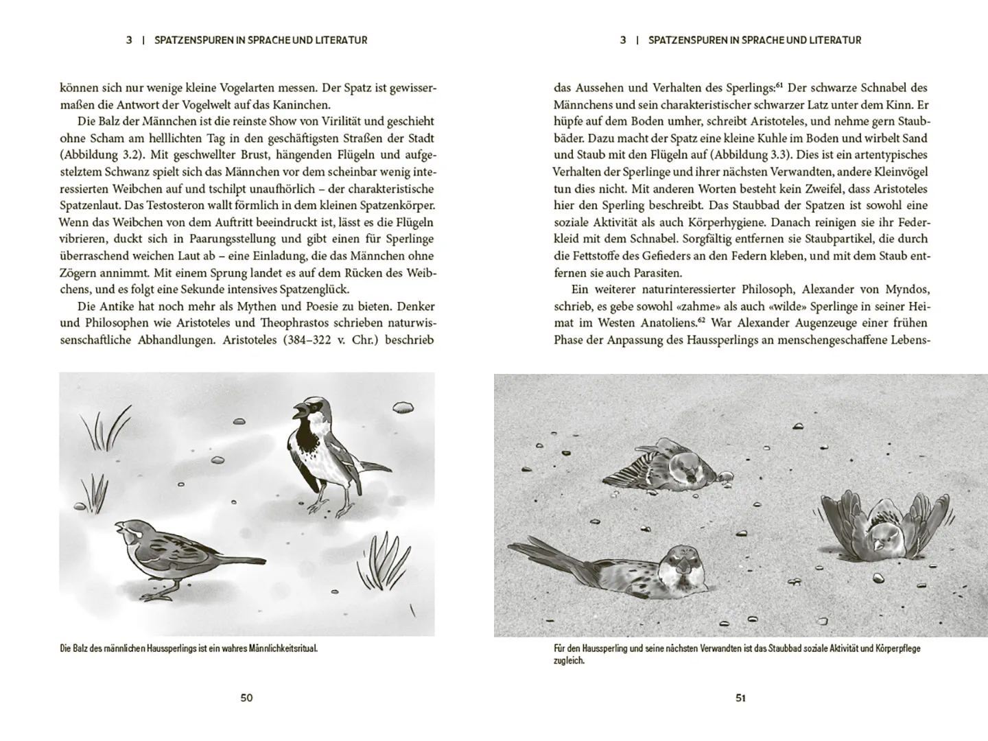 Sample Content (Image) Der Spatz