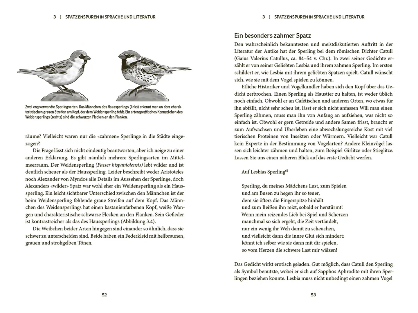 Sample Content (Image) Der Spatz