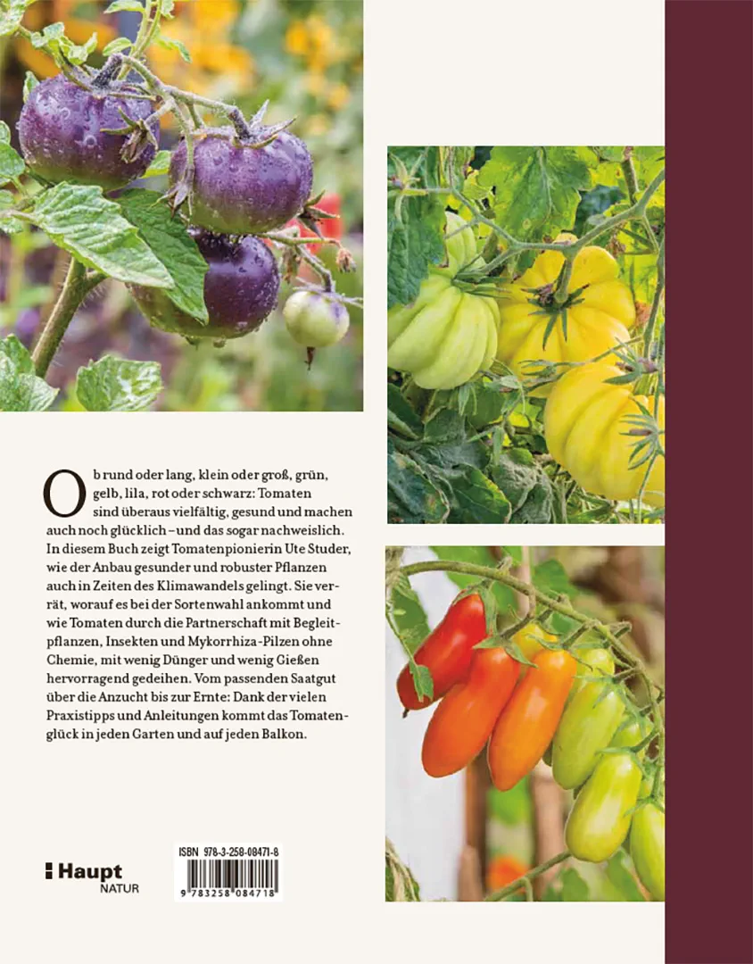 Back Cover Image Tomatenglück