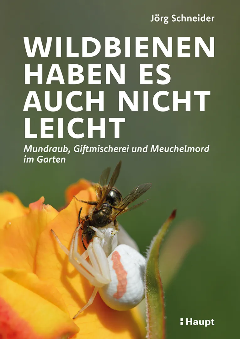 Front Cover Image Wildbienen haben es auch nicht leicht