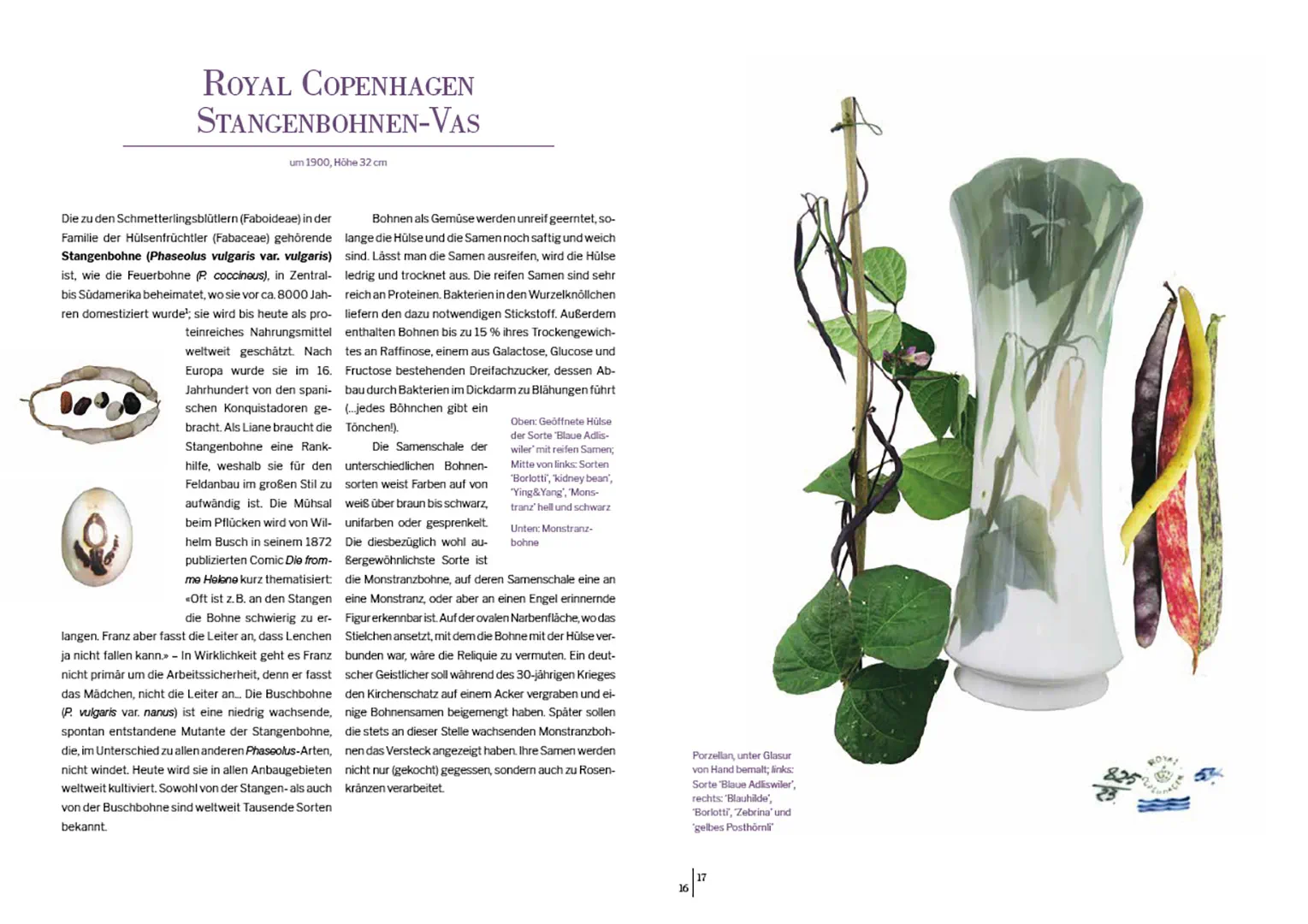 Sample Content (Image) Das Herbarium floraler Dekore