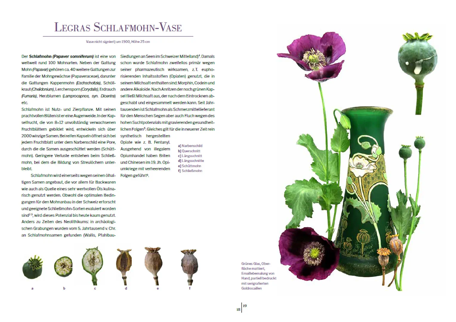 Sample Content (Image) Das Herbarium floraler Dekore