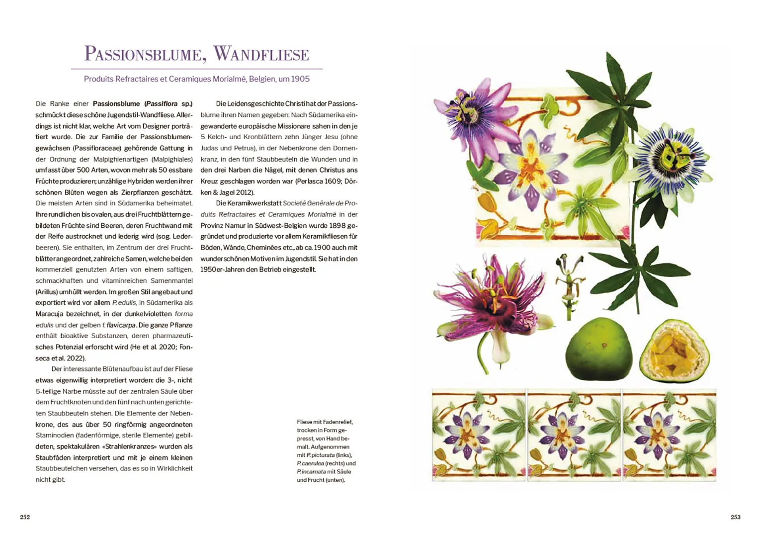 Sample Content (Image) Das Herbarium floraler Dekore