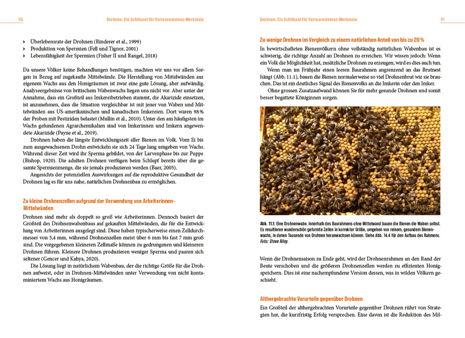 Sample Content (Image) Die Lösung der Honigbiene für das Varroa-Problem