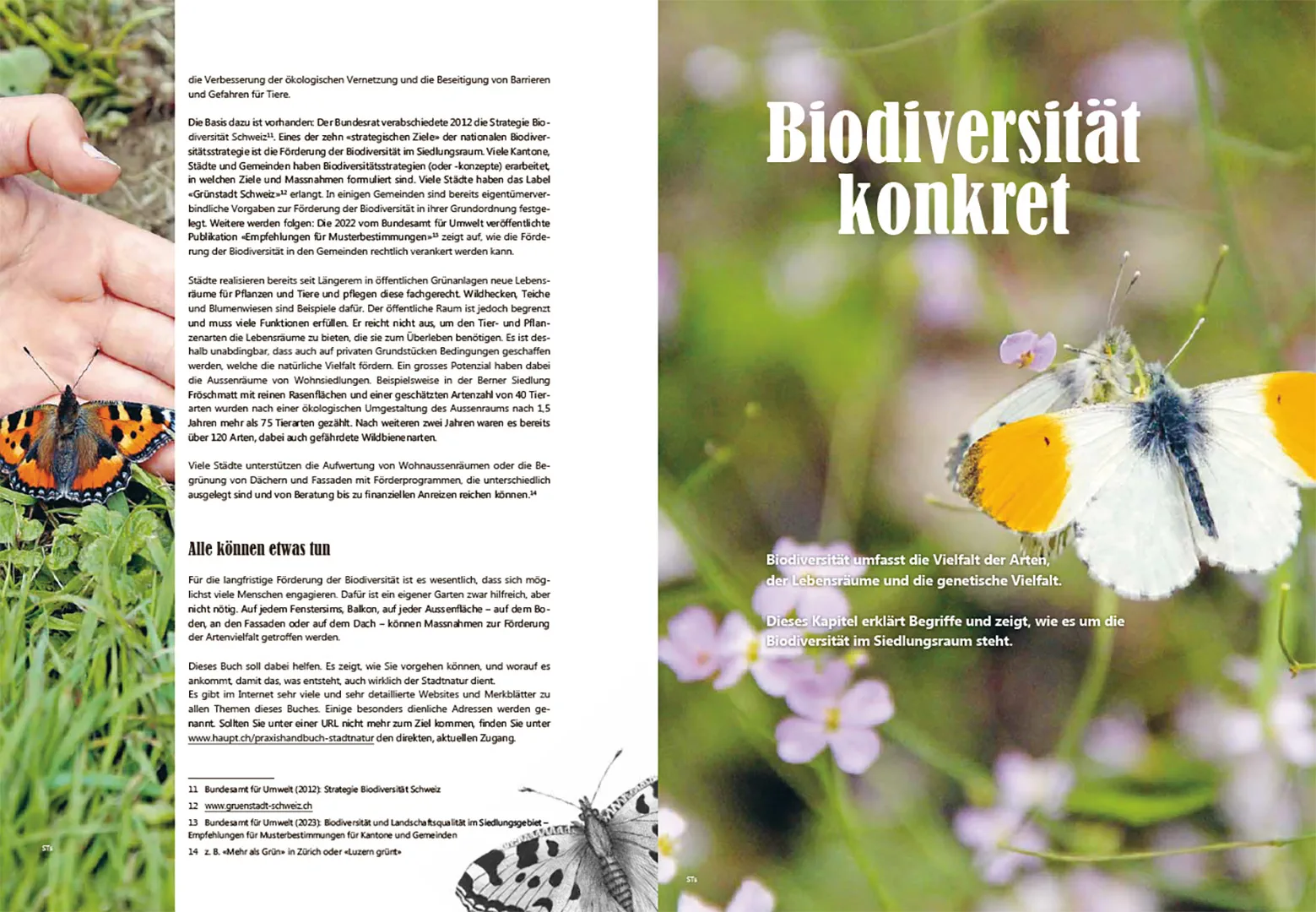 Sample Content (Image) Praxishandbuch Stadtnatur