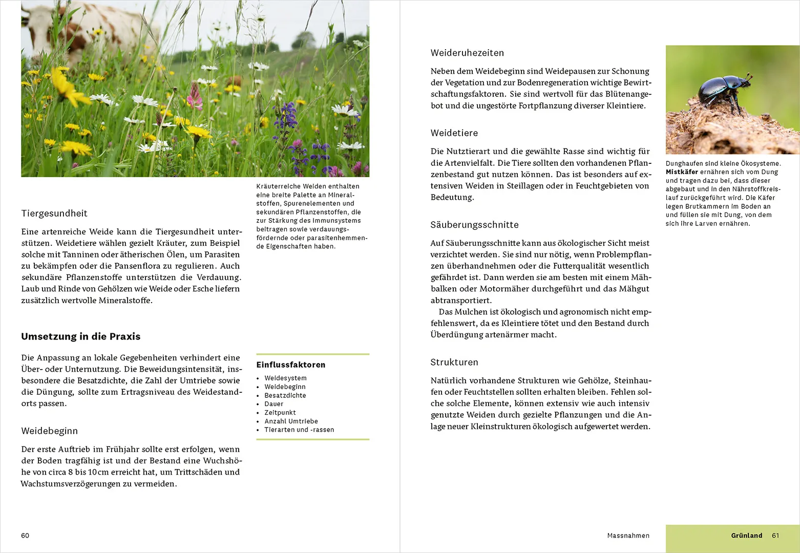 Sample Content (Image) Praxishandbuch Biodiversität in der Landwirtschaft