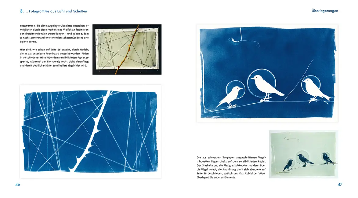 Sample Content (Image) Blaue Wunder - Techniken und Projekte mit Cyanotypie