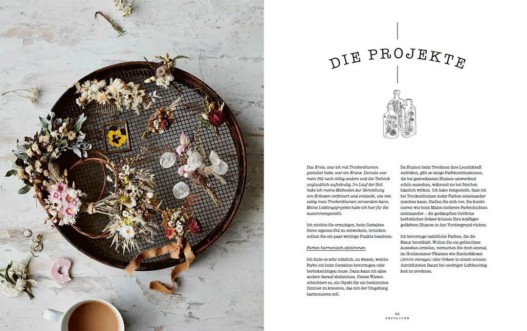 Sample Content (Image) Trockenblumen