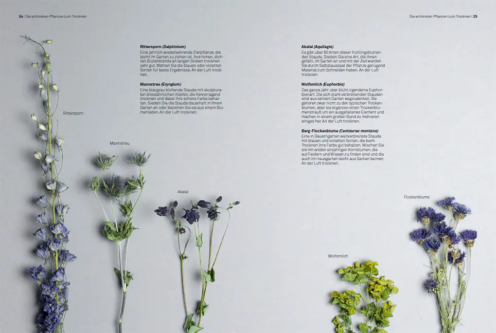 Sample Content (Image) Trockenblumen – vom Samen bis zum Arrangement