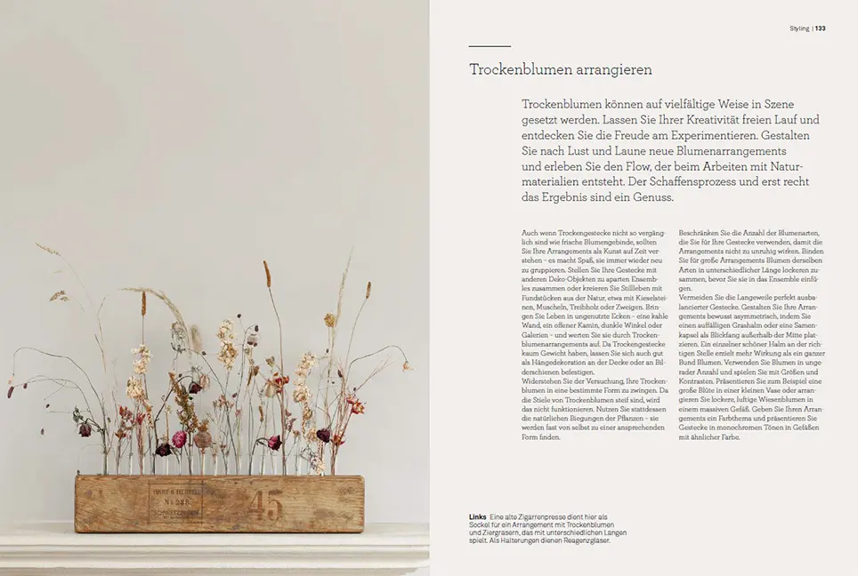 Sample Content (Image) Trockenblumen – vom Samen bis zum Arrangement