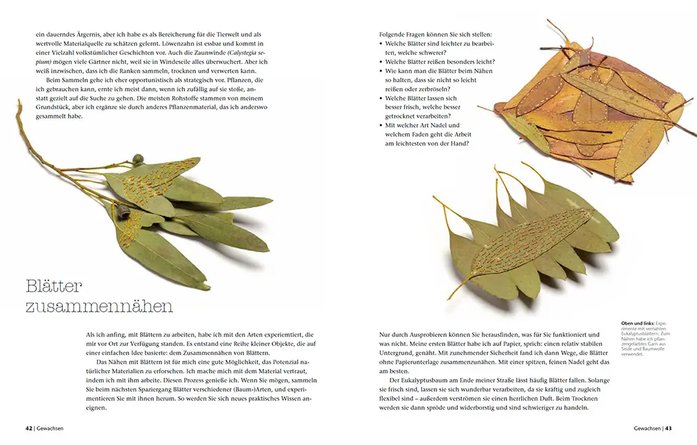 Sample Content (Image) Wilde Fasern