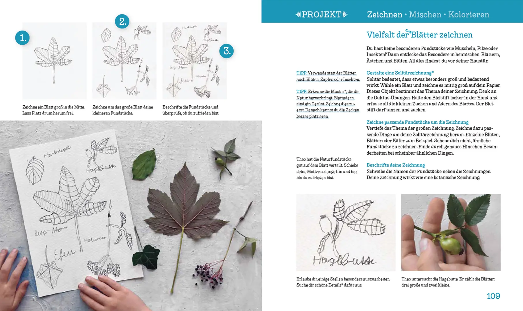 Sample Content (Image) Du kannst zeichnen!