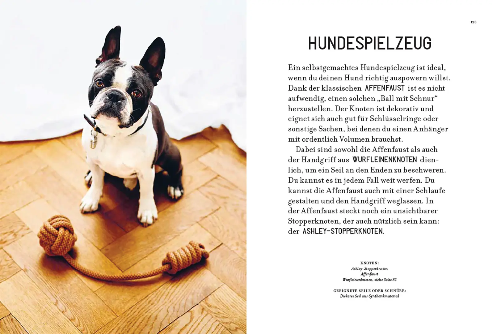 Sample Content (Image) Knoten