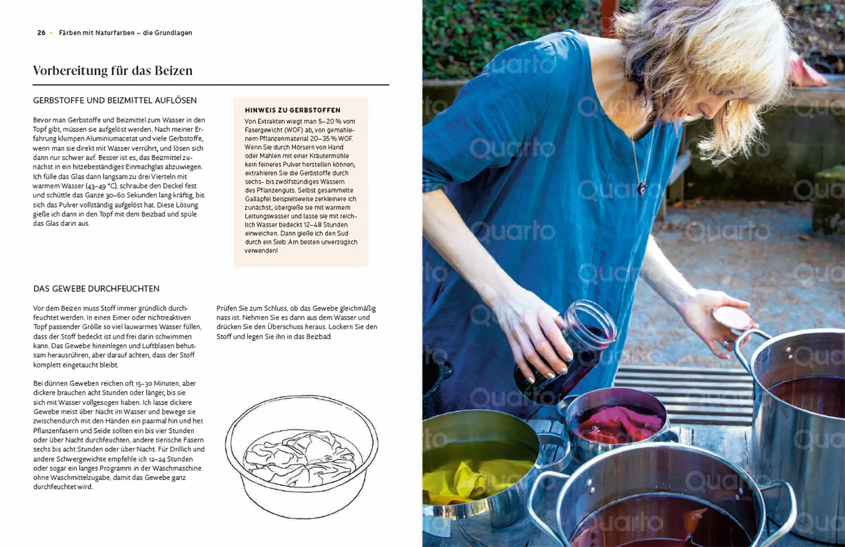 Sample Content (Image) Das Handbuch der Pflanzenfarben