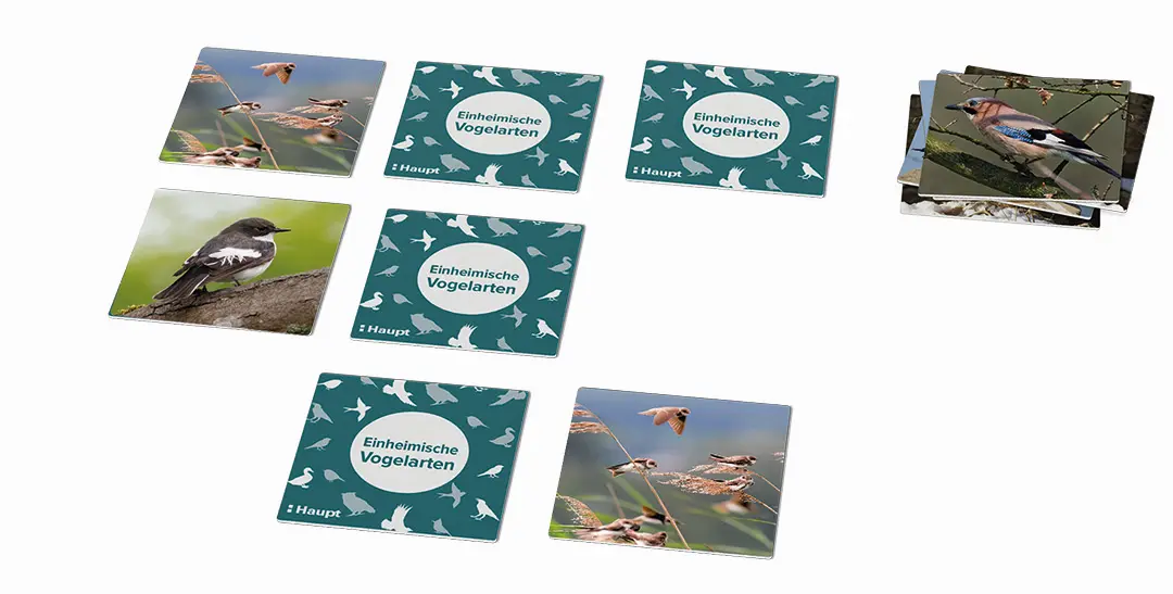 Sample Content (Image) Einheimische Vogelarten – das Memo-Spiel