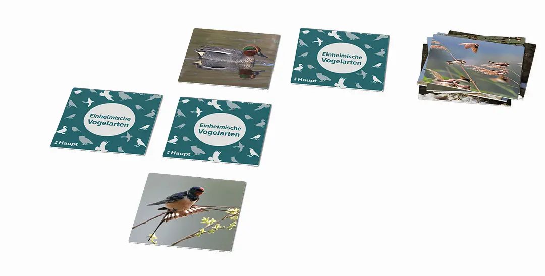 Sample Content (Image) Einheimische Vogelarten – das Memo-Spiel