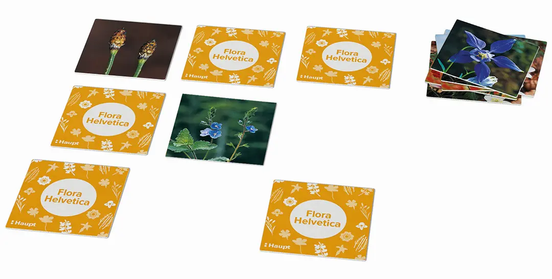 Sample Content (Image) Flora Helvetica – das Memo-Spiel