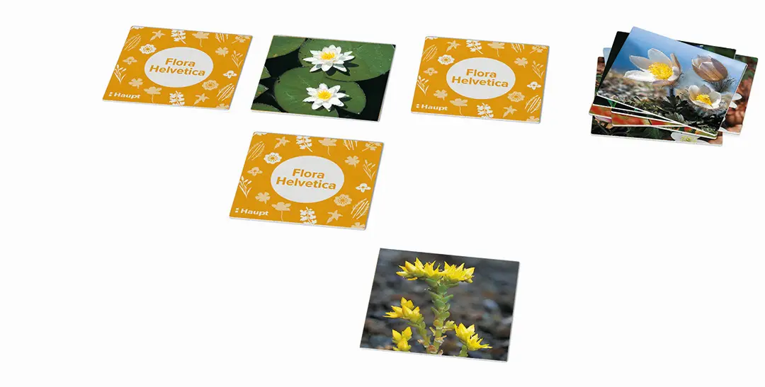 Sample Content (Image) Flora Helvetica – das Memo-Spiel