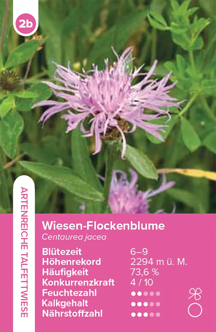 Sample Content (Image) Lebensräume Wiesen und Weiden – das Quartett-Spiel