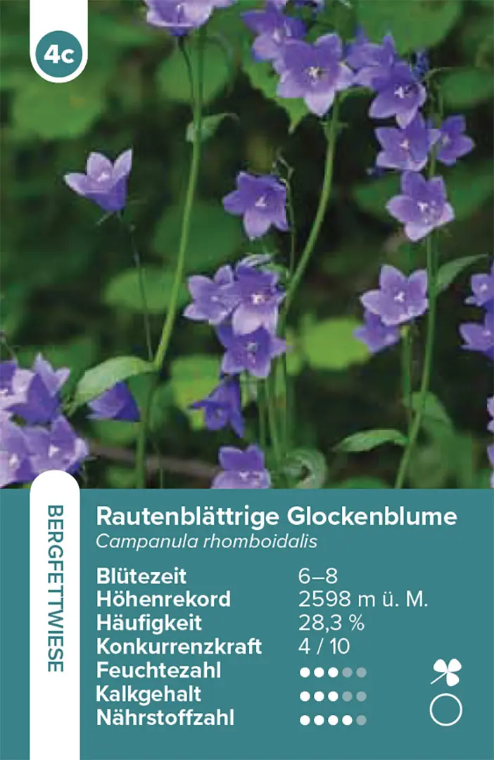 Sample Content (Image) Lebensräume Wiesen und Weiden – das Quartett-Spiel