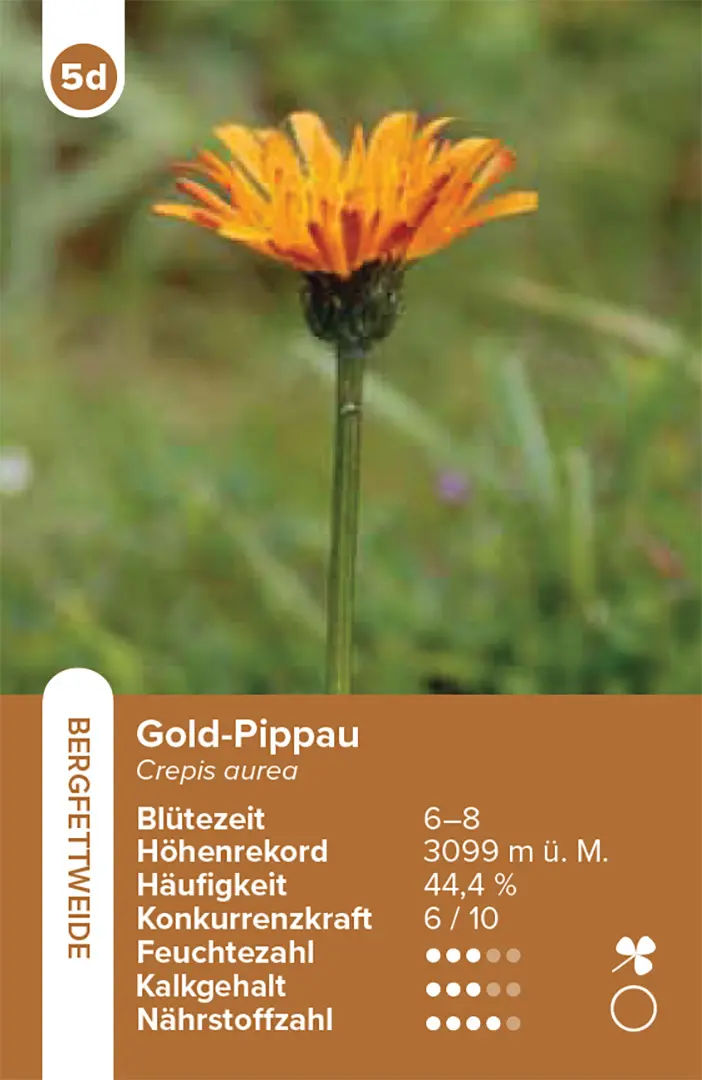 Sample Content (Image) Lebensräume Wiesen und Weiden – das Quartett-Spiel