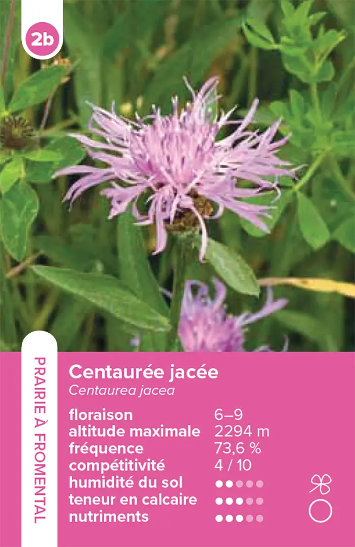 Sample Content (Image) Habitats pelouses et prairies – le jeu du quatuor