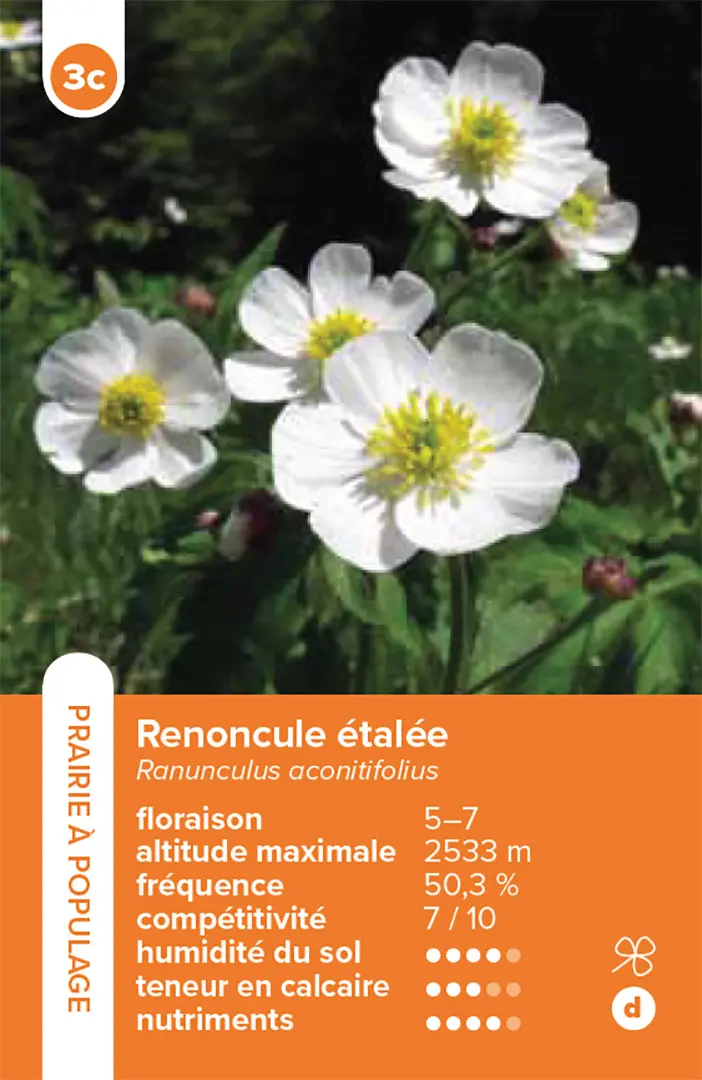 Sample Content (Image) Habitats pelouses et prairies – le jeu du quatuor