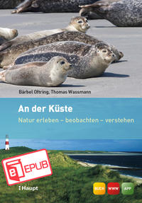 Vorderes Coverbild An der Küste