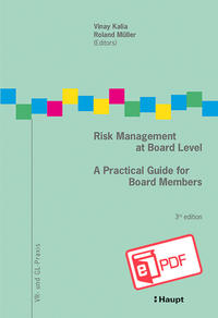 Vorderes Coverbild Risk Management at Board Level