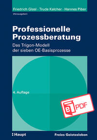 Vorderes Coverbild Professionelle Prozessberatung