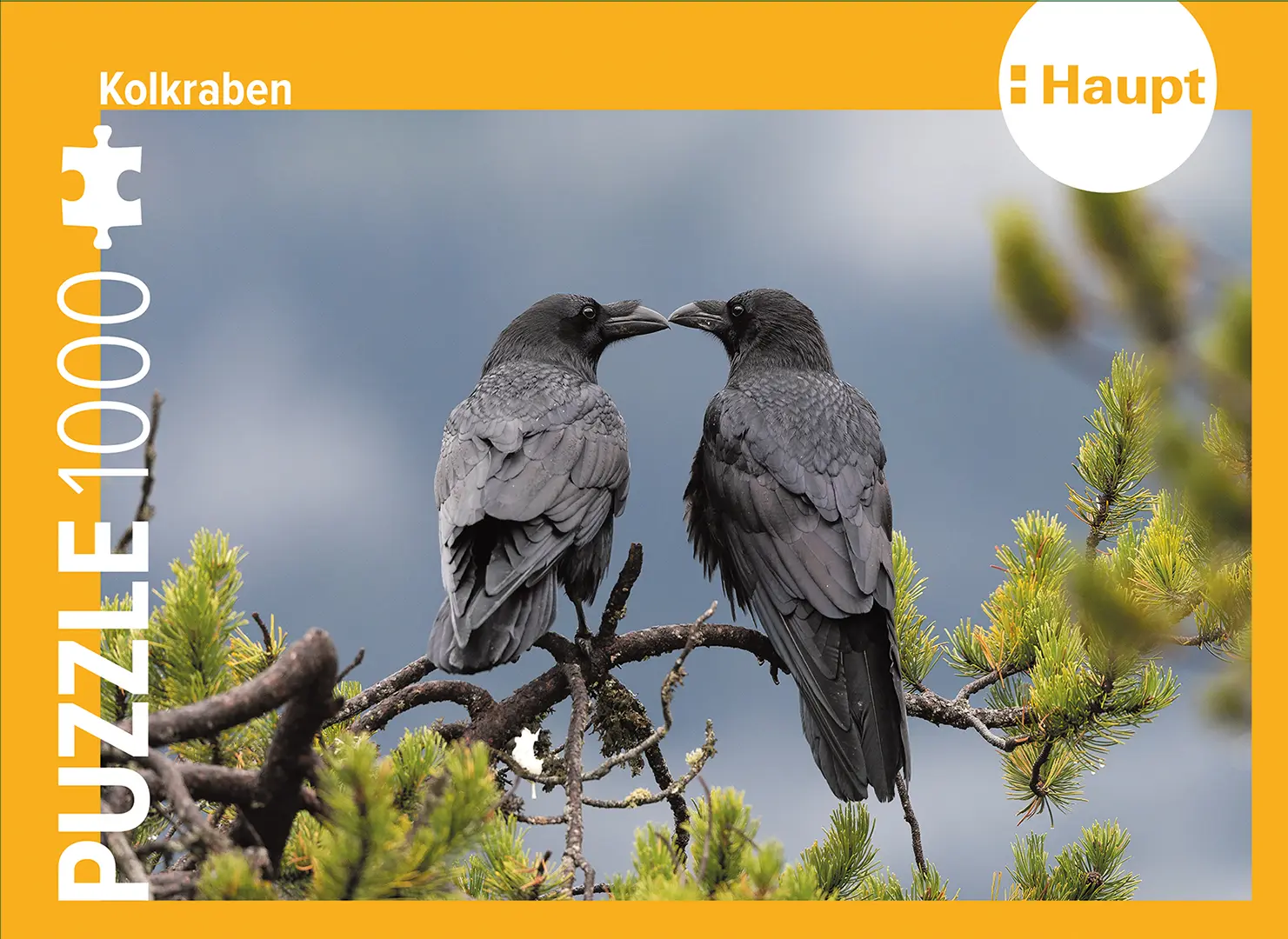 Vorderes Coverbild Kolkraben – Puzzle