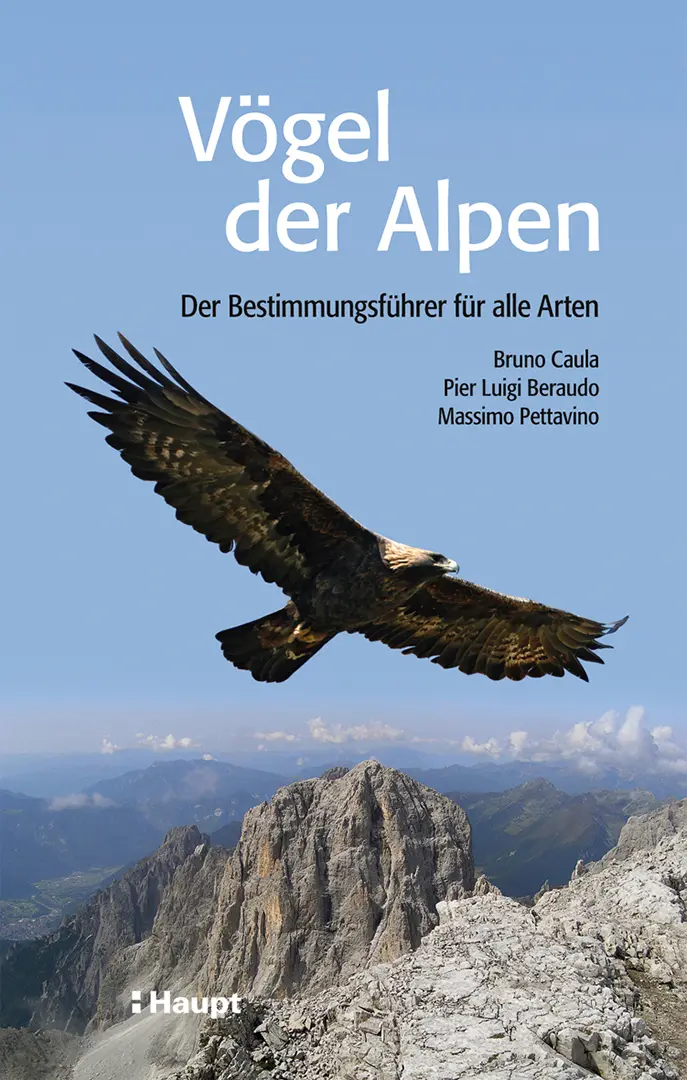 Vorderes Coverbild Vögel der Alpen