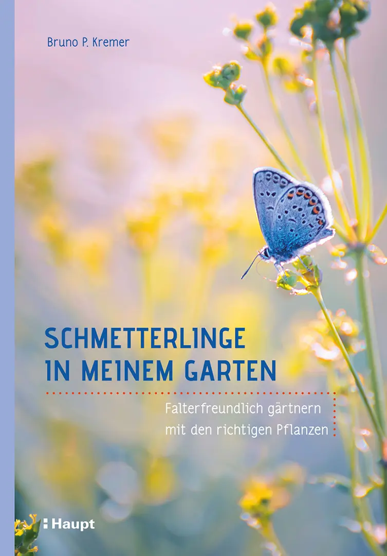 Vorderes Coverbild Schmetterlinge in meinem Garten