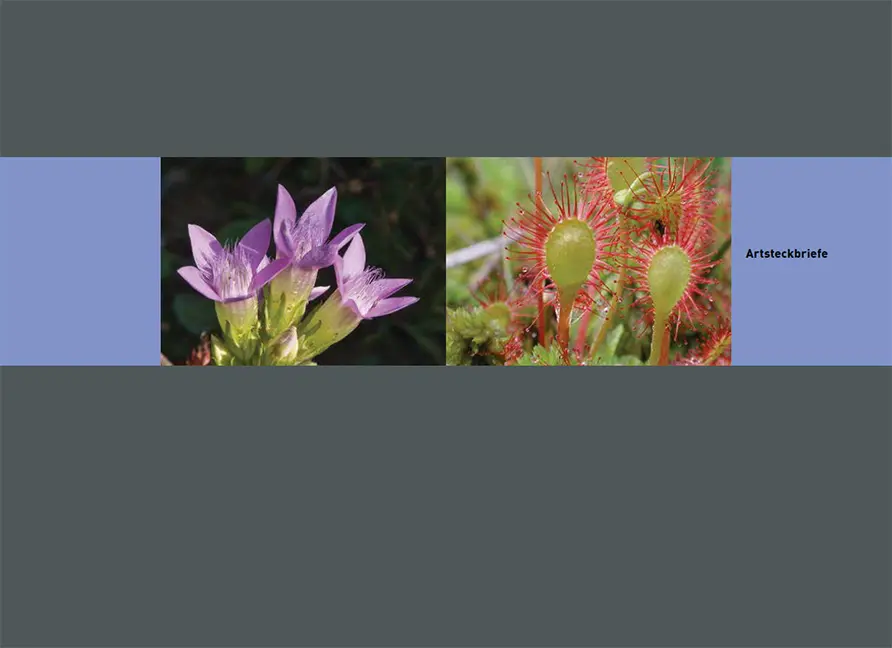 Beispielinhalt (Bild) Flora des Kantons Zürich