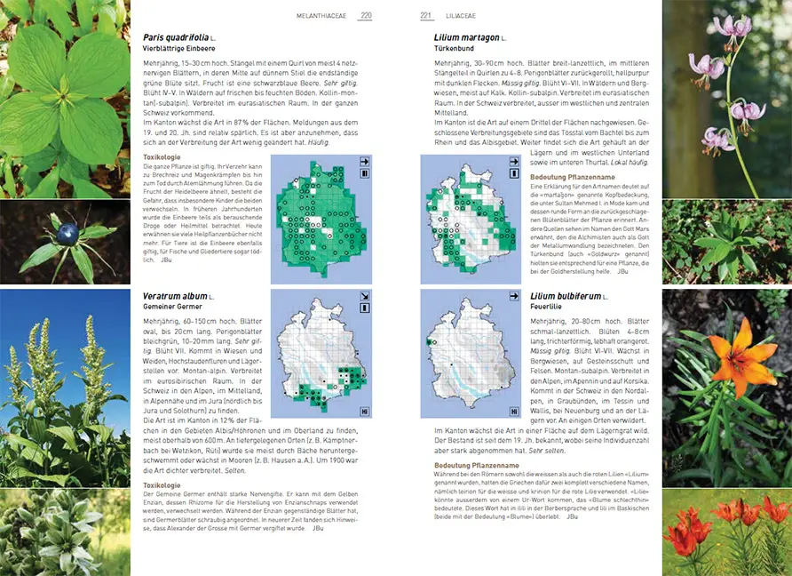 Beispielinhalt (Bild) Flora des Kantons Zürich