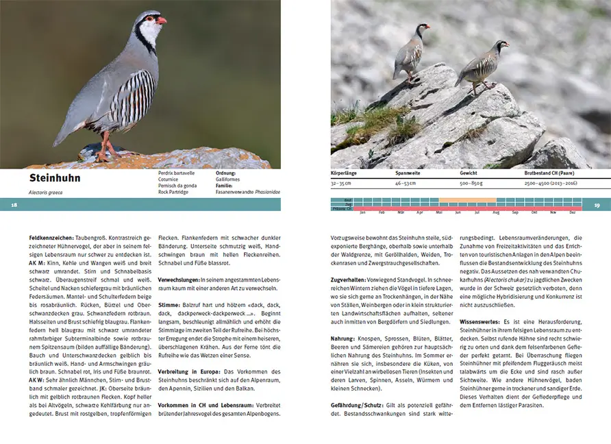 Beispielinhalt (Bild) Vogelarten der Schweiz