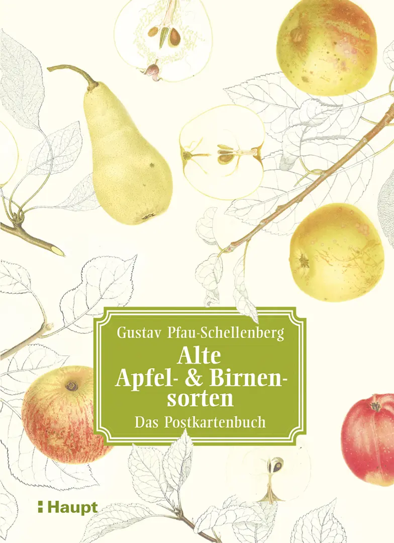 Vorderes Coverbild Alte Apfel- & Birnensorten - Das Postkartenbuch
