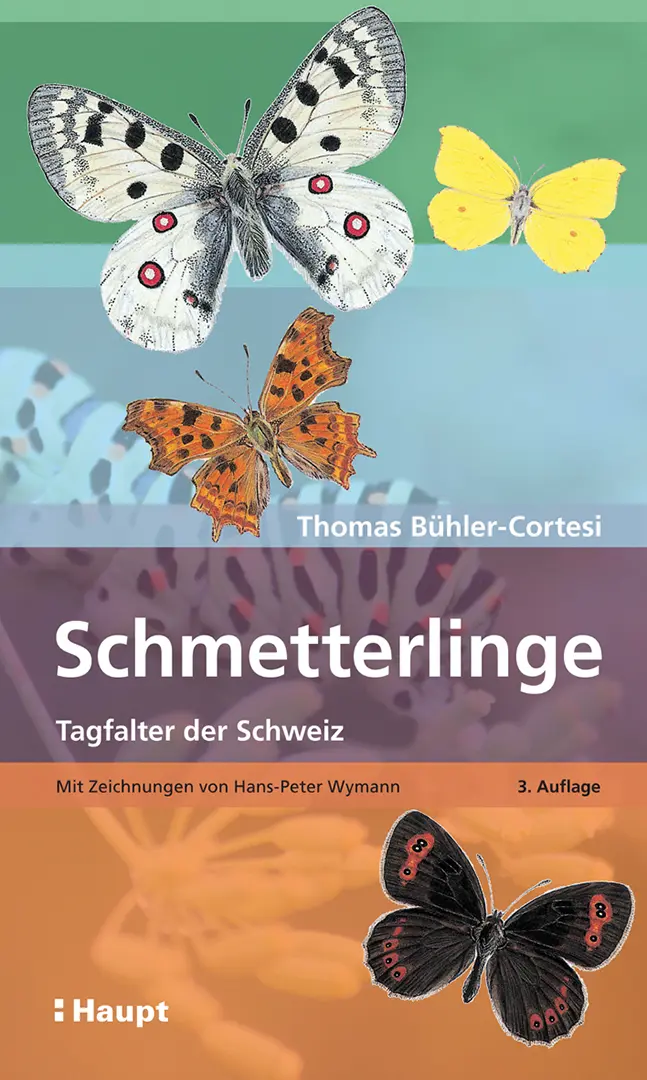 Vorderes Coverbild Schmetterlinge
