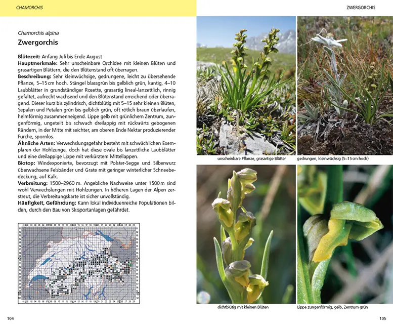 Beispielinhalt (Bild) Die Orchideen der Schweiz