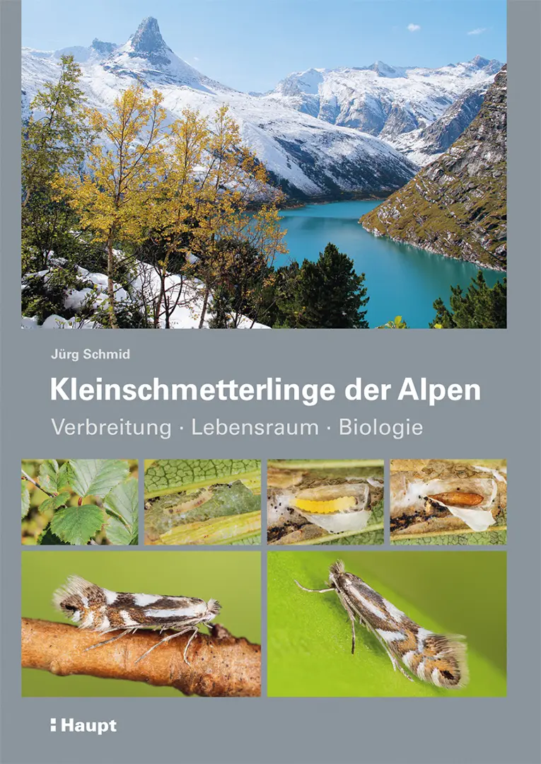 Vorderes Coverbild Kleinschmetterlinge der Alpen