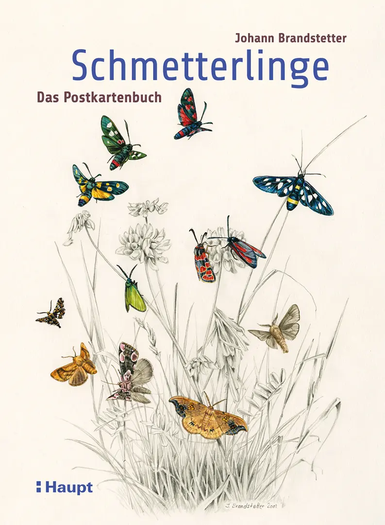 Vorderes Coverbild Schmetterlinge - Das Postkartenbuch