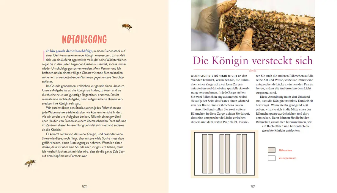 Beispielinhalt (Bild) Die Bienenkönigin