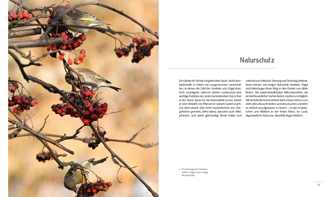 Beispielinhalt (Bild) Mein Garten im Winter