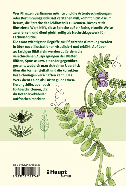 Rückseitencover Das illustrierte Pflanzen-Glossar