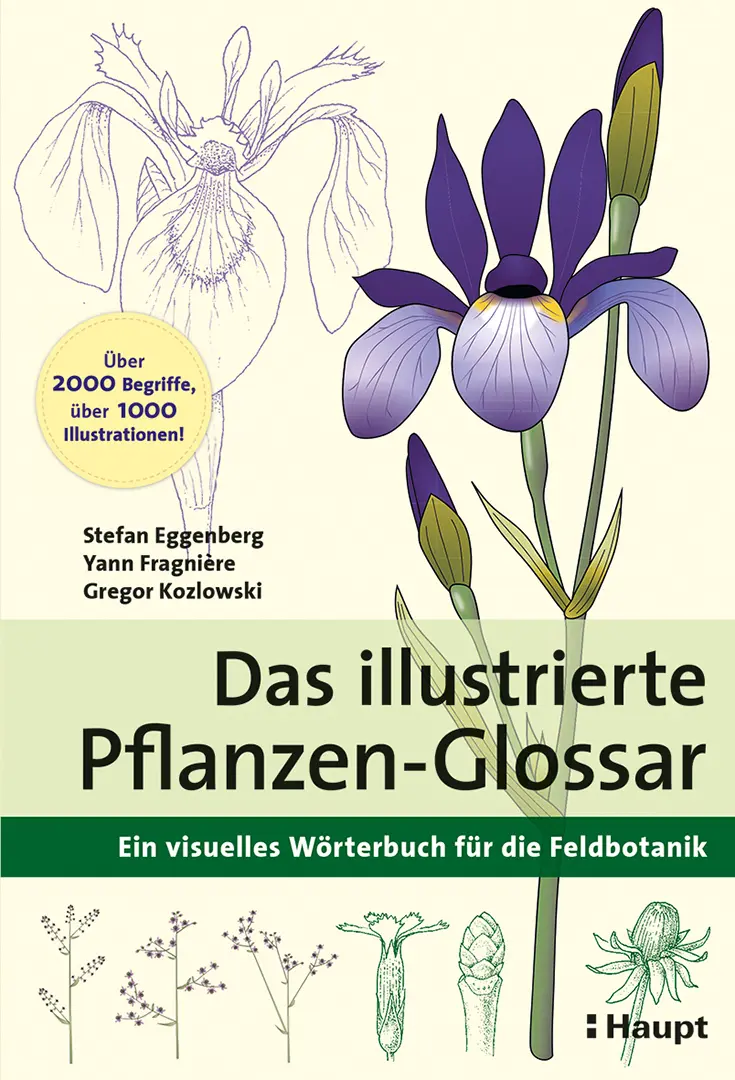 Vorderes Coverbild Das illustrierte Pflanzen-Glossar