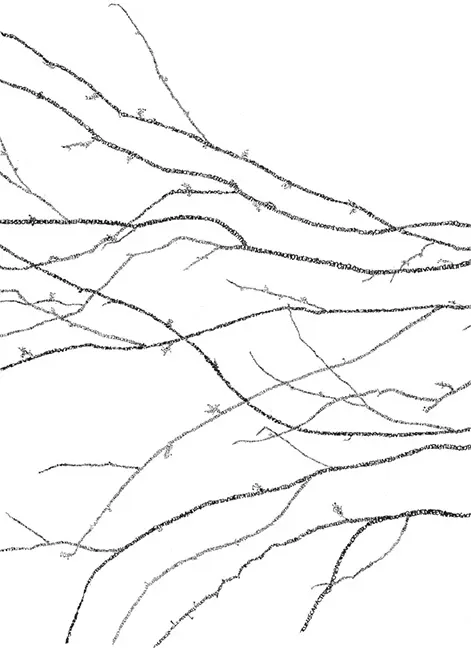 Beispielinhalt (Bild) Schriftspiele - Das Postkartenbuch