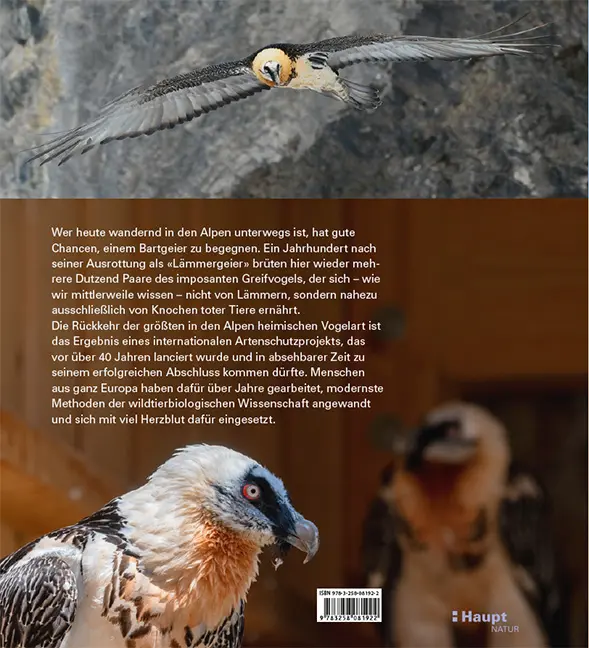 Rückseitencover Der Bartgeier